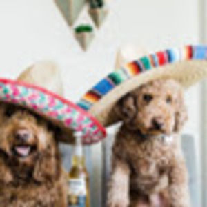 Meet your Posher, Skylar